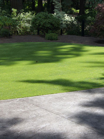 Artificial Grass in Landscaping