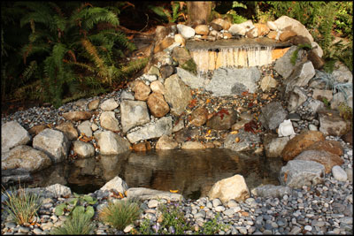 Landscape Design