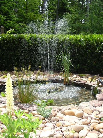 Landscape Renovation with Water Feature Port Moody