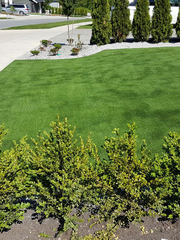 Artificial Grass in Landscaping Mission, Maple Ridge, Coquitlam, Abbotsford and Langley BC