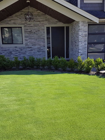 Artificial Turf in Landscaping Mission, Maple Ridge, Coquitlam, Abbotsford and Langley BC