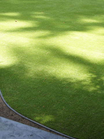 Artificial Grass in Landscaping Mission, Maple Ridge, Coquitlam, Abbotsford and Langley BC