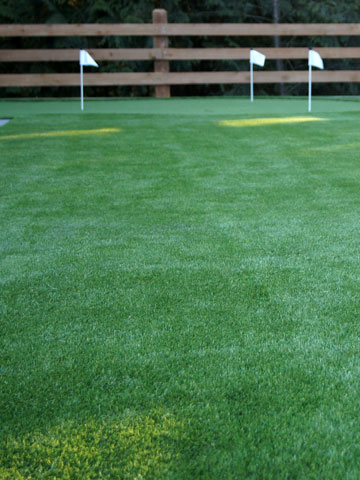 Artificial Grass in Landscaping Mission, Maple Ridge, Coquitlam, Abbotsford and Langley BC