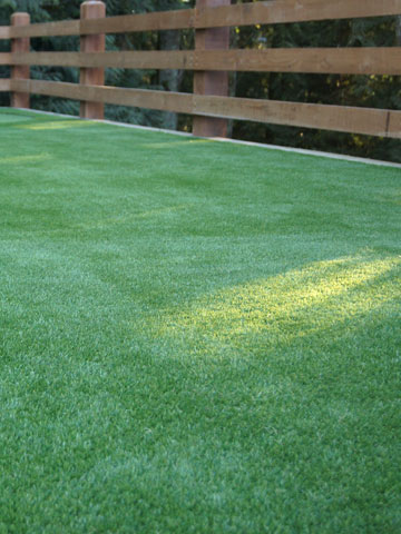 Artificial Grass in Landscaping Mission, Maple Ridge, Coquitlam, Abbotsford and Langley BC