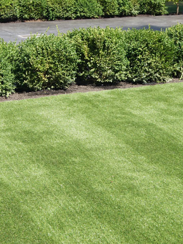 Artificial Grass in Landscaping Mission, Maple Ridge, Coquitlam, Abbotsford and Langley BC