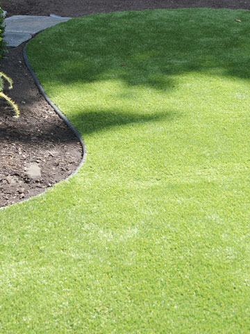 Artificial Grass in Landscaping Mission, Maple Ridge, Coquitlam, Abbotsford and Langley BC