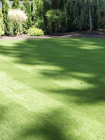 Artificial Turf in Landscaping Mission, Maple Ridge, Coquitlam, Abbotsford and Langley BC