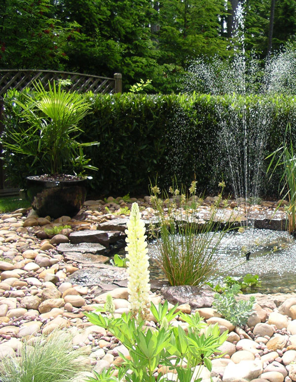 Single Family Landscape Designer