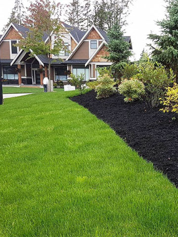 Acreage Home landscaping Maple Ridge