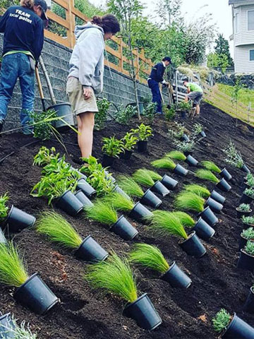 Landscape Renovation, Mission