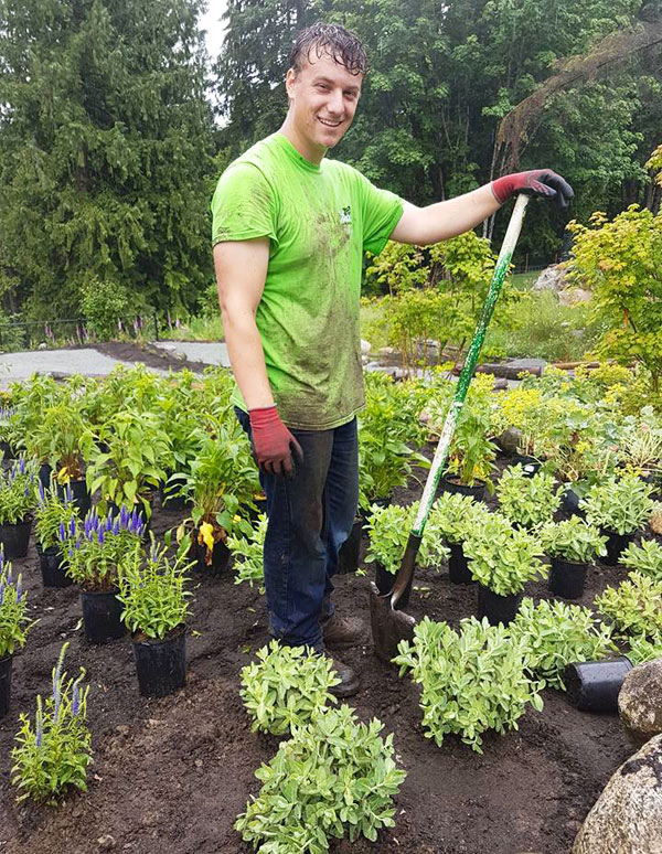 Landscape Plant Installation Fraser Valley