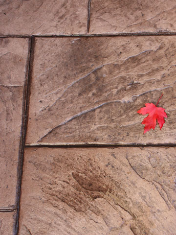 Concrete finishes including brushed, exposed, or stamped for patios and walkways